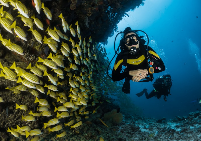 Red Sea Reefs